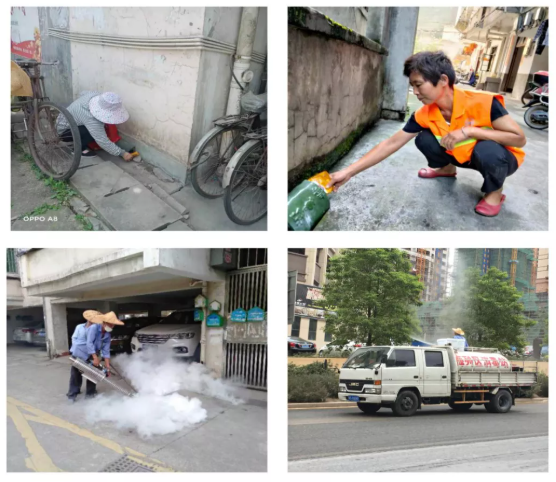 病媒生物防治：构建安全健康的生活环境